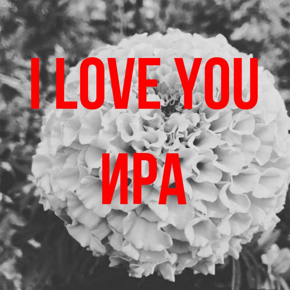 Greetings card с именем, Ира I love you подпись Greetings with text for free download 