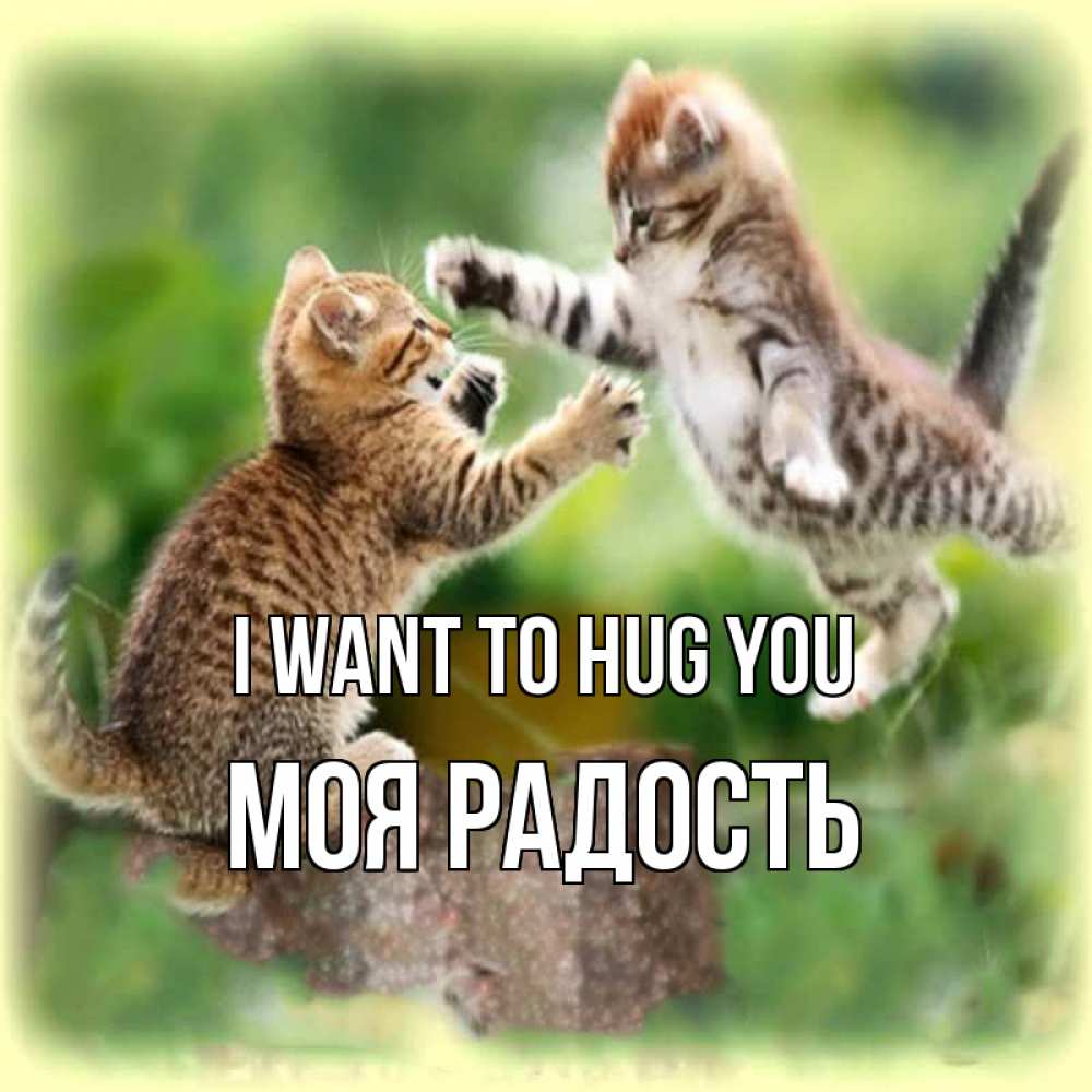 Greetings card с именем, Моя-радость I want to hug you игры котят Greetings with text for free download 