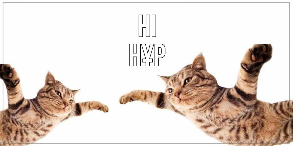 Greetings card с именем, НҰР Hi кот Greetings with text for free download 