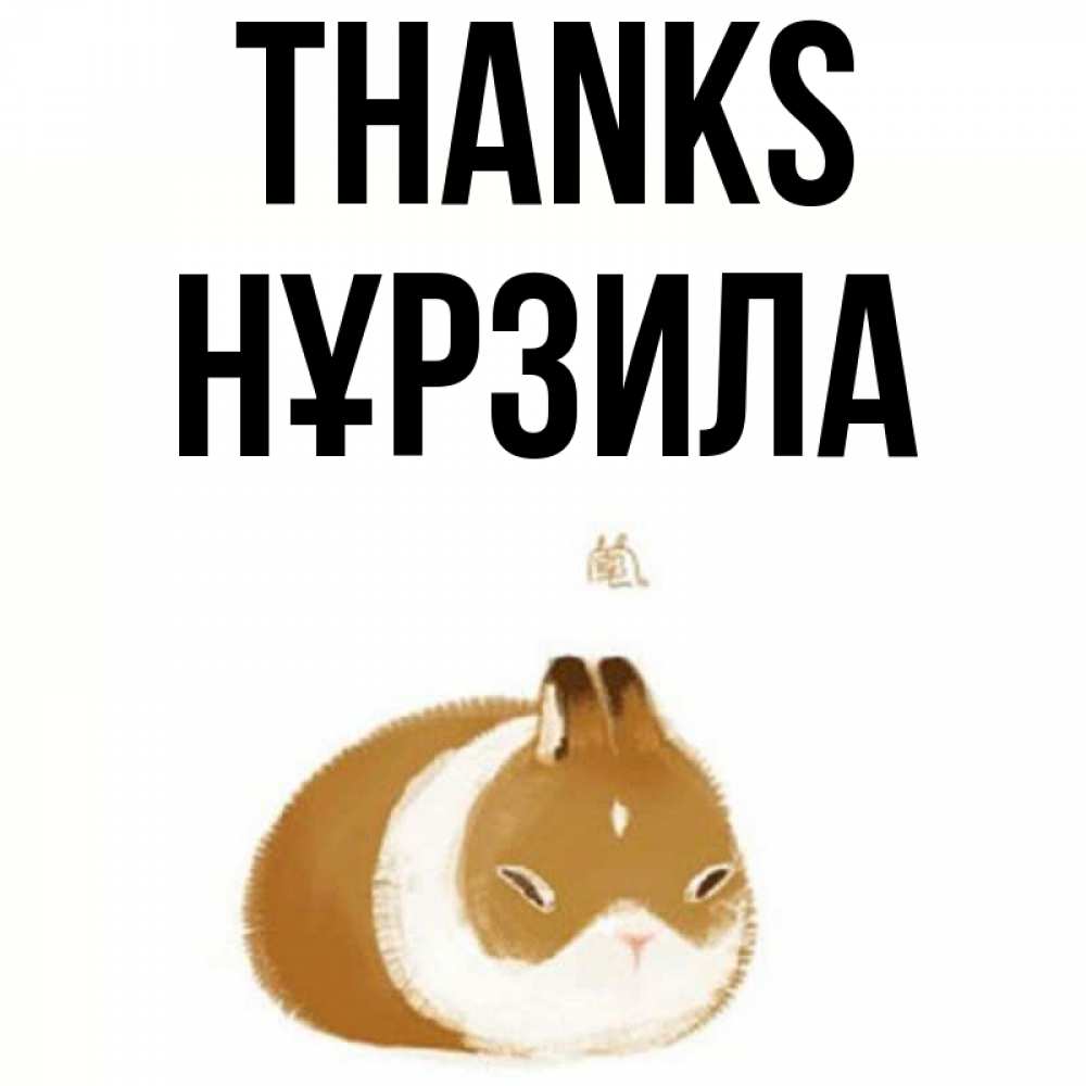 Greetings card с именем, НҰРЗИЛА Thanks коричнево белый домашний питомец Greetings with text for free download 