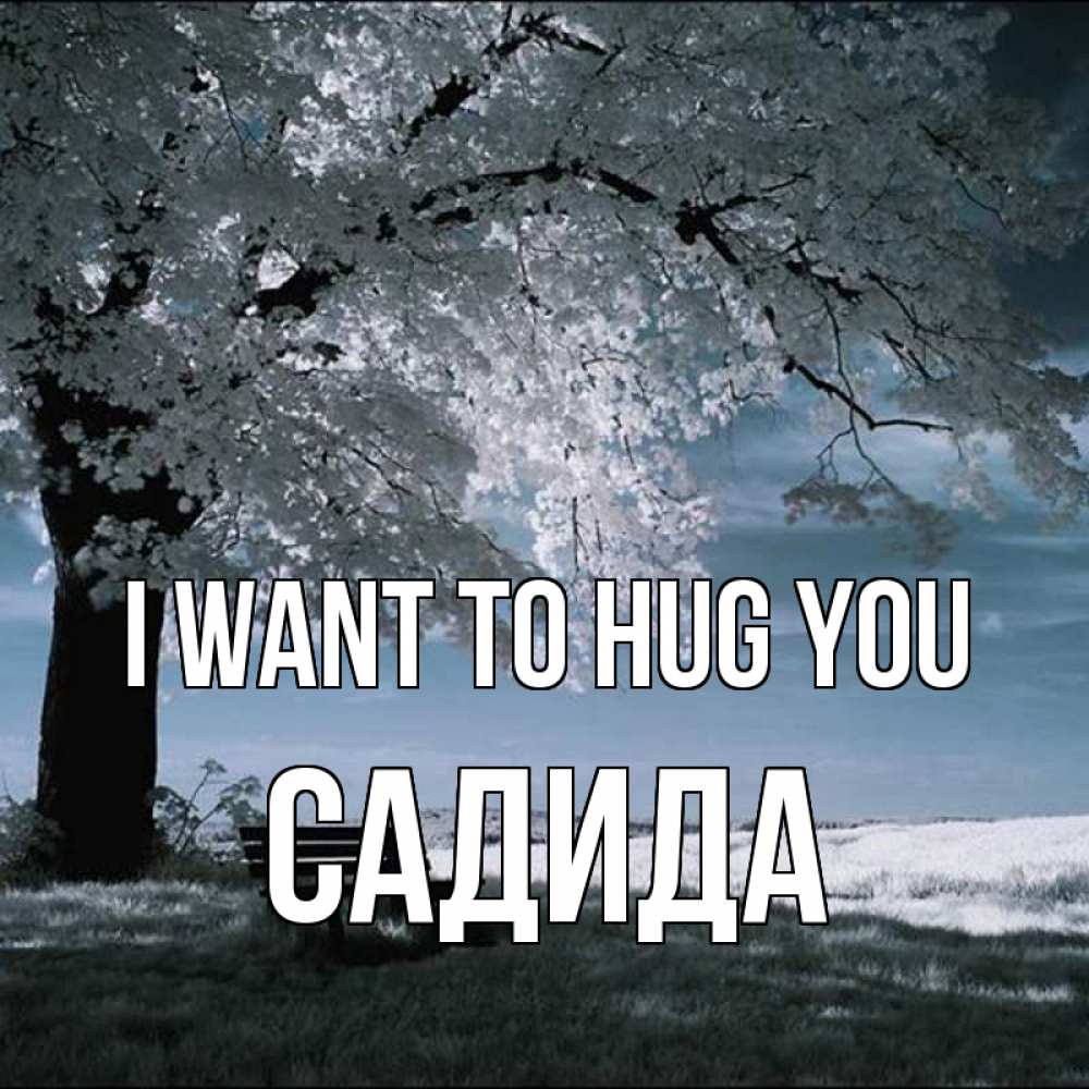 Greetings card с именем, САДИДА I want to hug you дерево Greetings with text for free download 