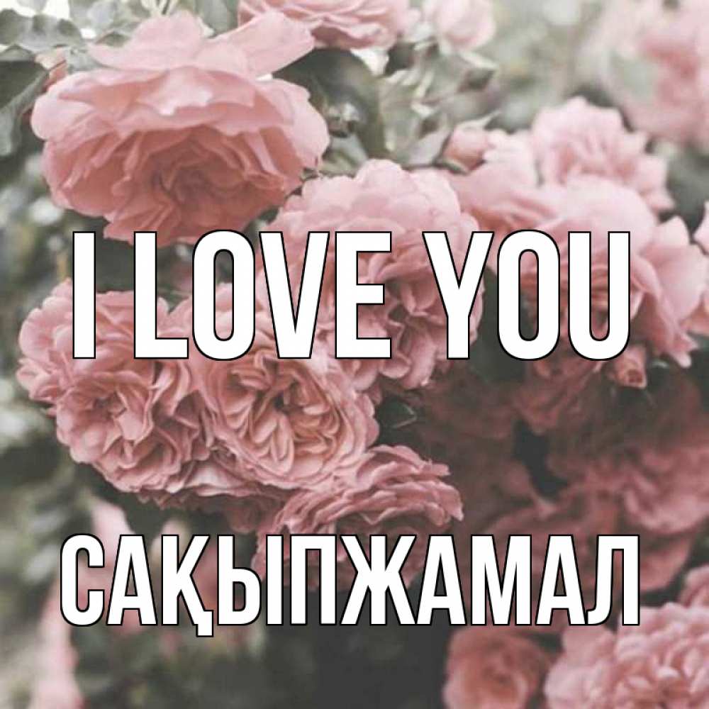 Greetings card с именем, САҚЫПЖАМАЛ I love you розы 3 Greetings with text for free download 