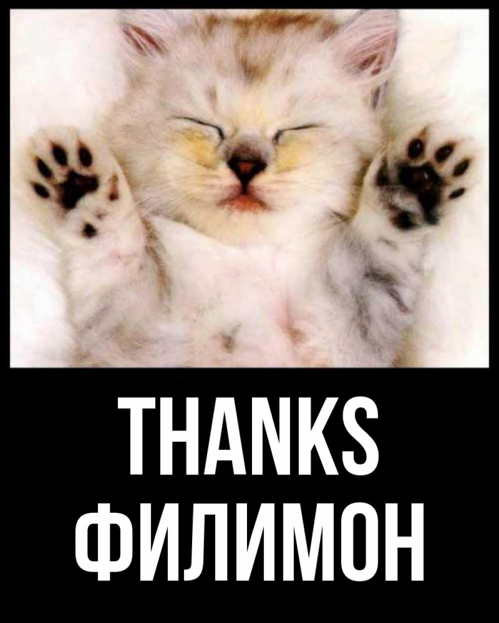 Greetings card с именем, Филимон Thanks маленький котенок Greetings with text for free download 