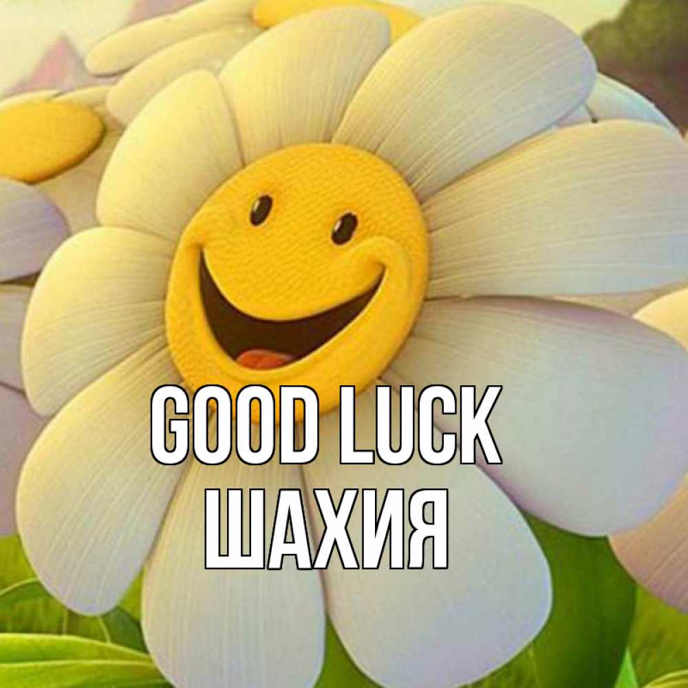 Greetings card с именем, ШАХИЯ Good luck подписать открытку своим текстом Greetings with text for free download 