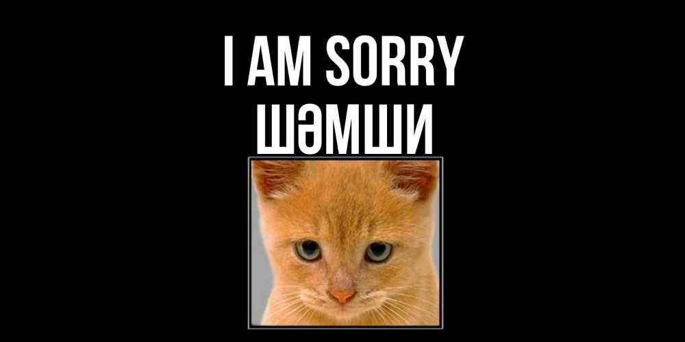 Greetings card с именем, ШӘМШИ I am sorry рыжий грустный кот просит прощения Greetings with text for free download 