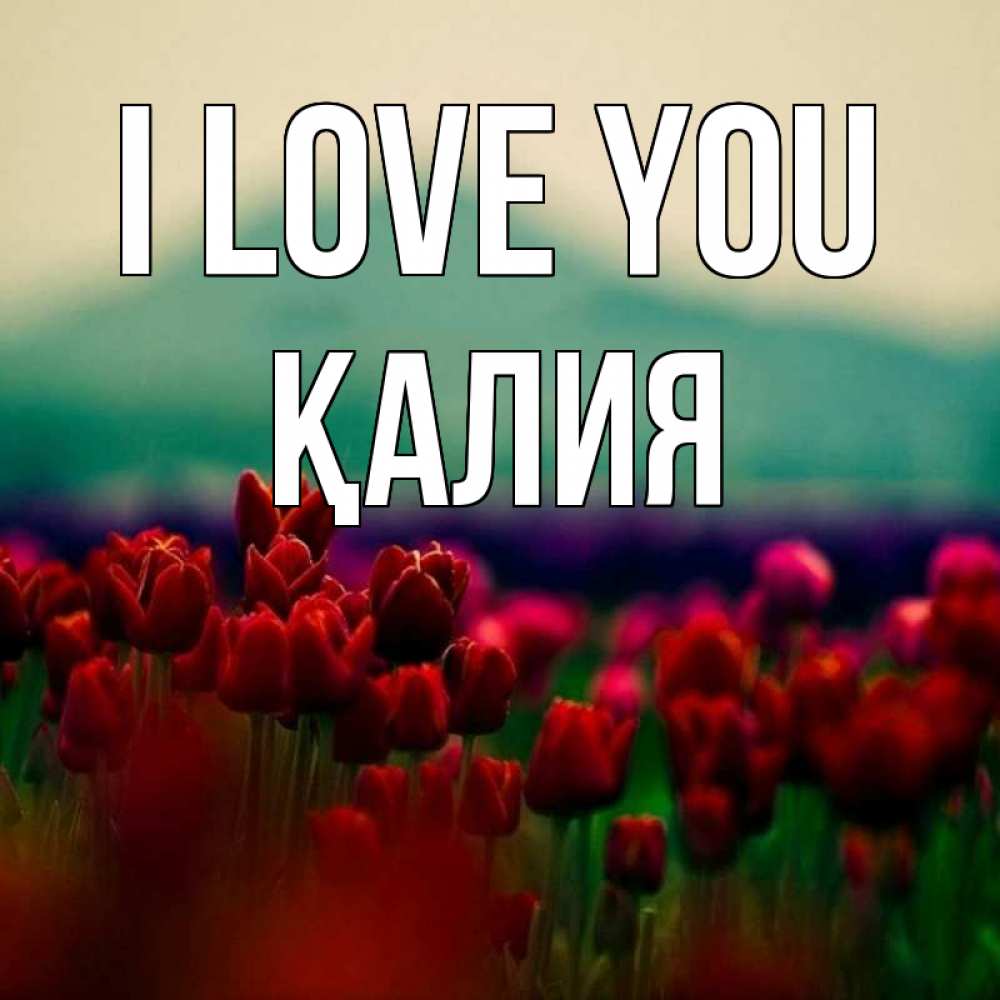 Greetings card с именем, ҚАЛИЯ I love you тюльпаны 4 Greetings with text for free download 
