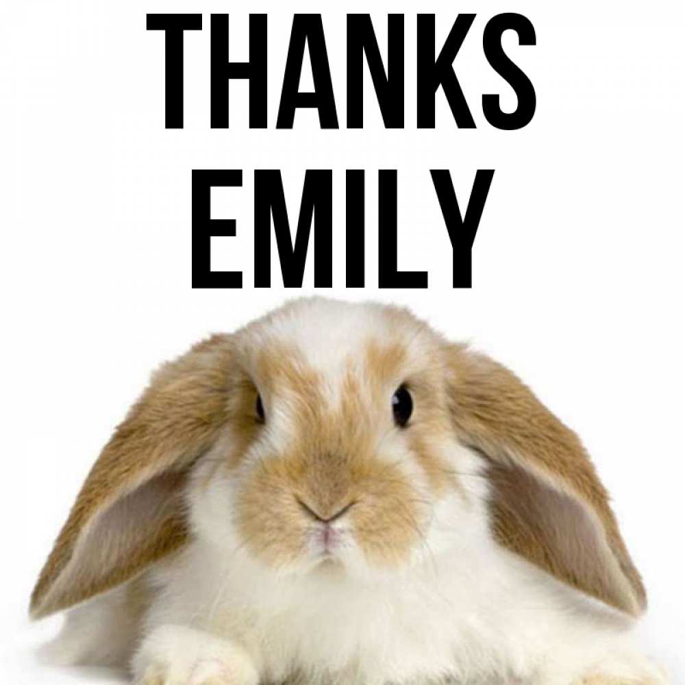 Greetings card с именем, Emily Thanks коричнево белый заяц Greetings with text for free download 