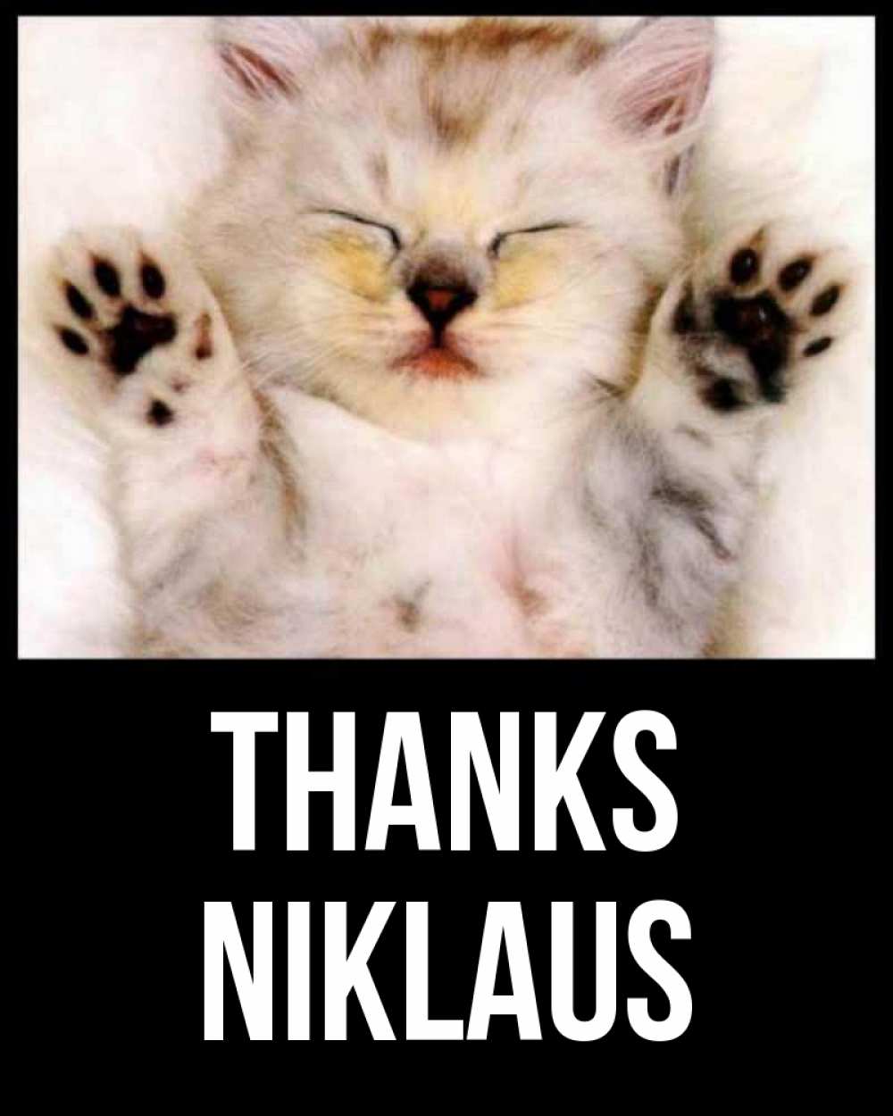 Greetings card с именем, Niklaus Thanks маленький котенок Greetings with text for free download 