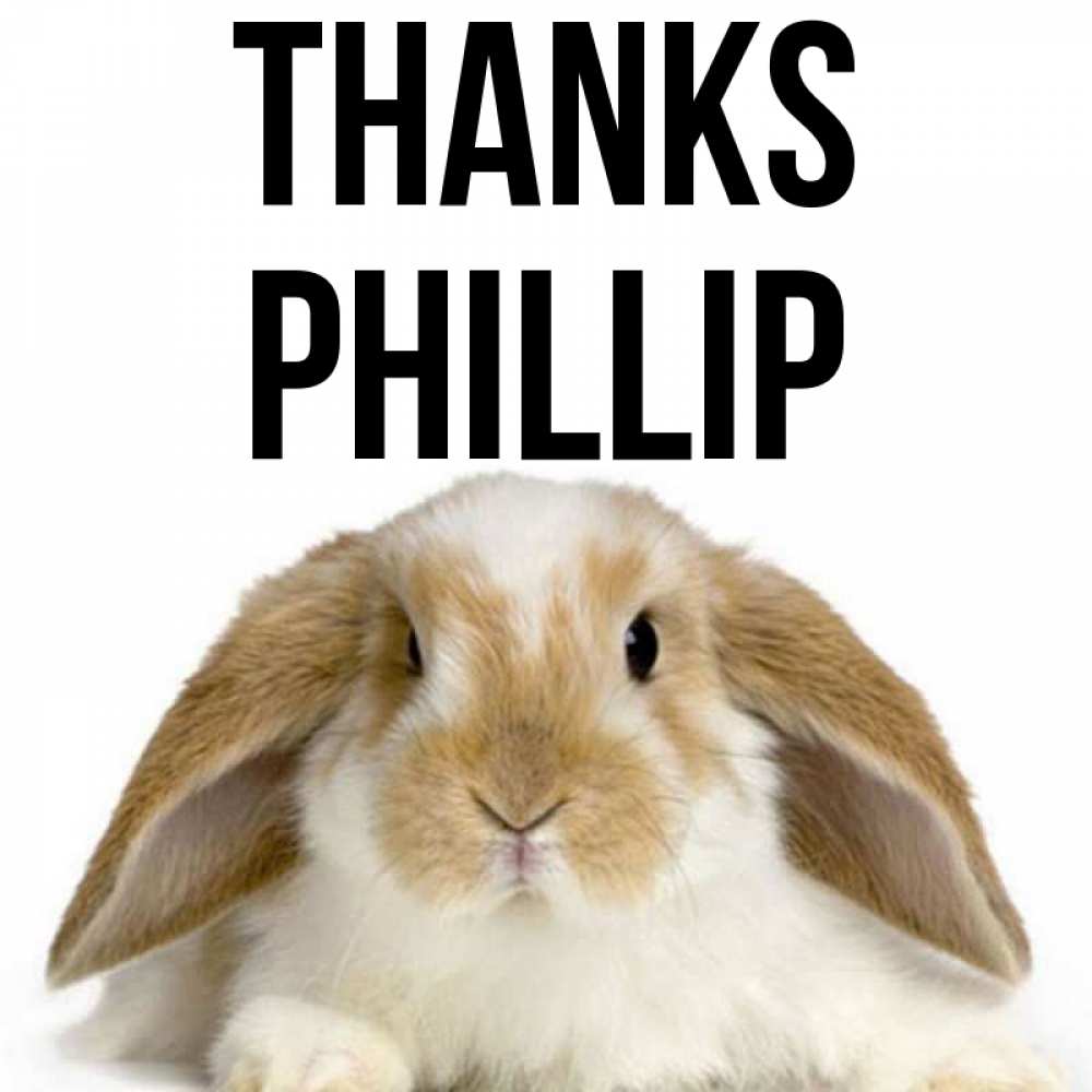 Greetings card с именем, Phillip Thanks коричнево белый заяц Greetings with text for free download 