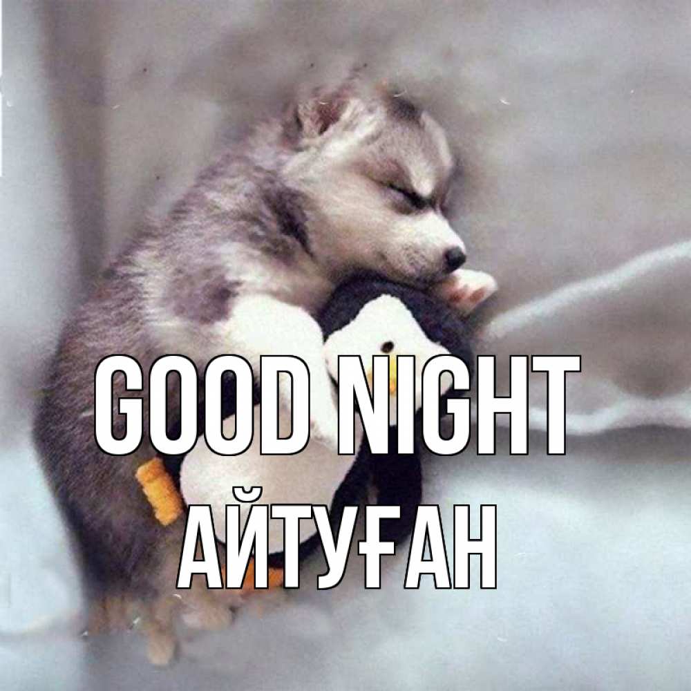 Greetings card с именем, Айтуған Good night обнимашки щенка и пингвина Greetings with text for free download 