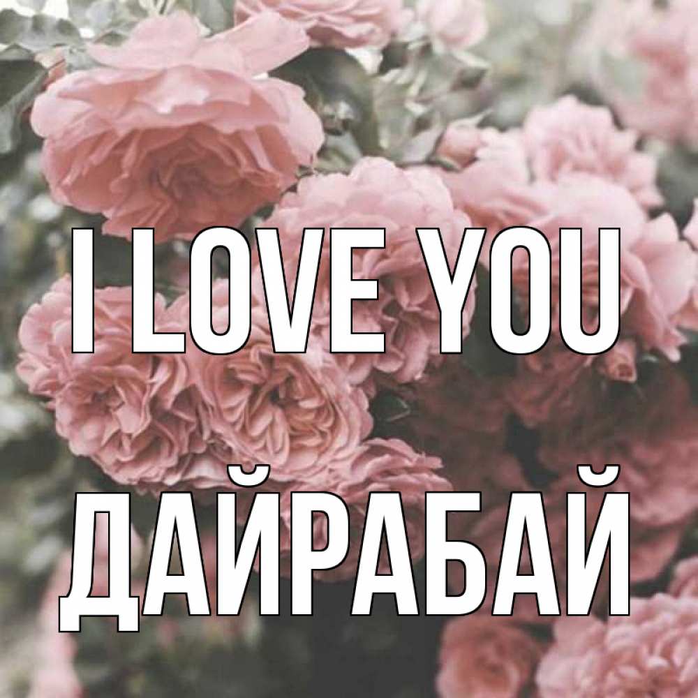Greetings card с именем, Дайрабай I love you розы 3 Greetings with text for free download 