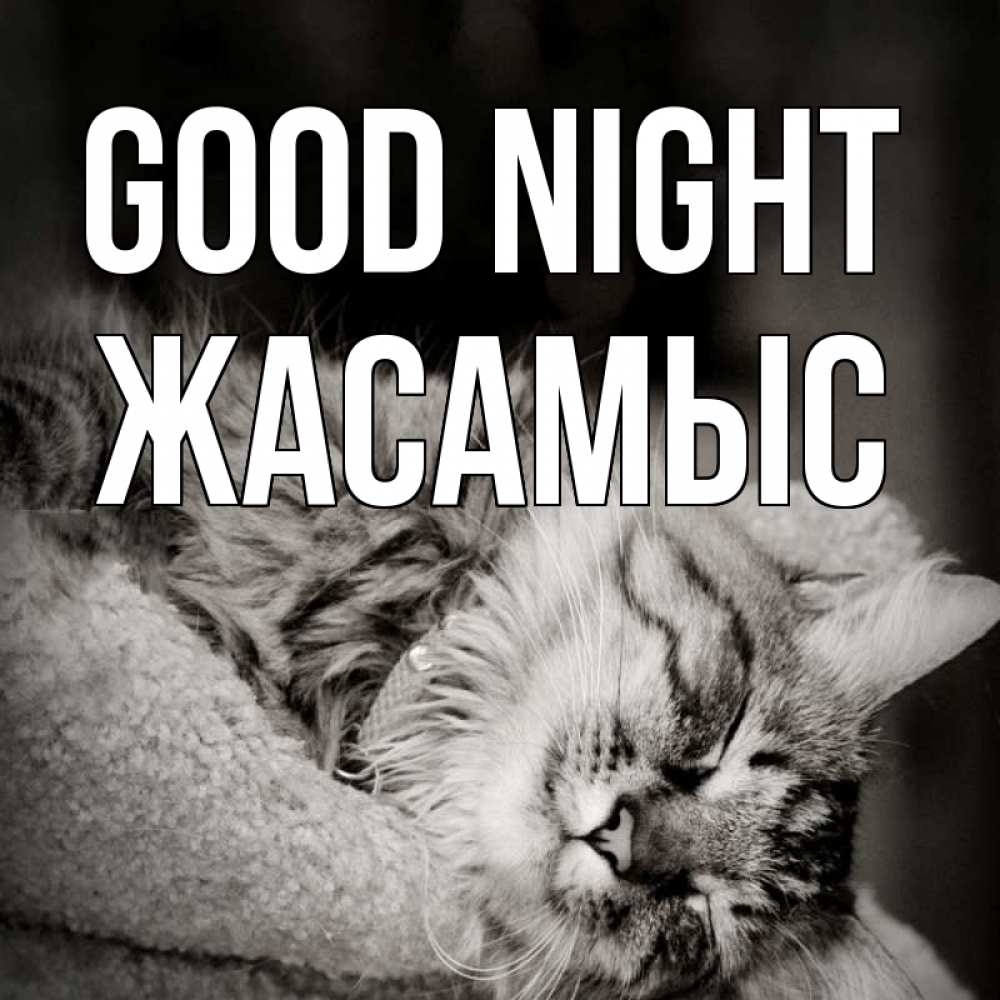 Greetings card с именем, Жасамыс Good night котярик пушистый Greetings with text for free download 