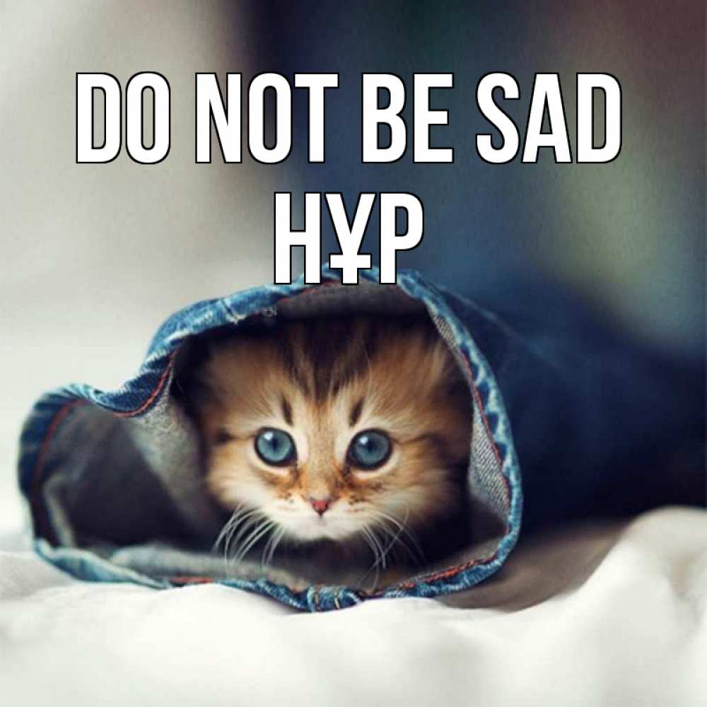 Greetings card с именем, НҰР Do not be sad кот в одежде Greetings with text for free download 