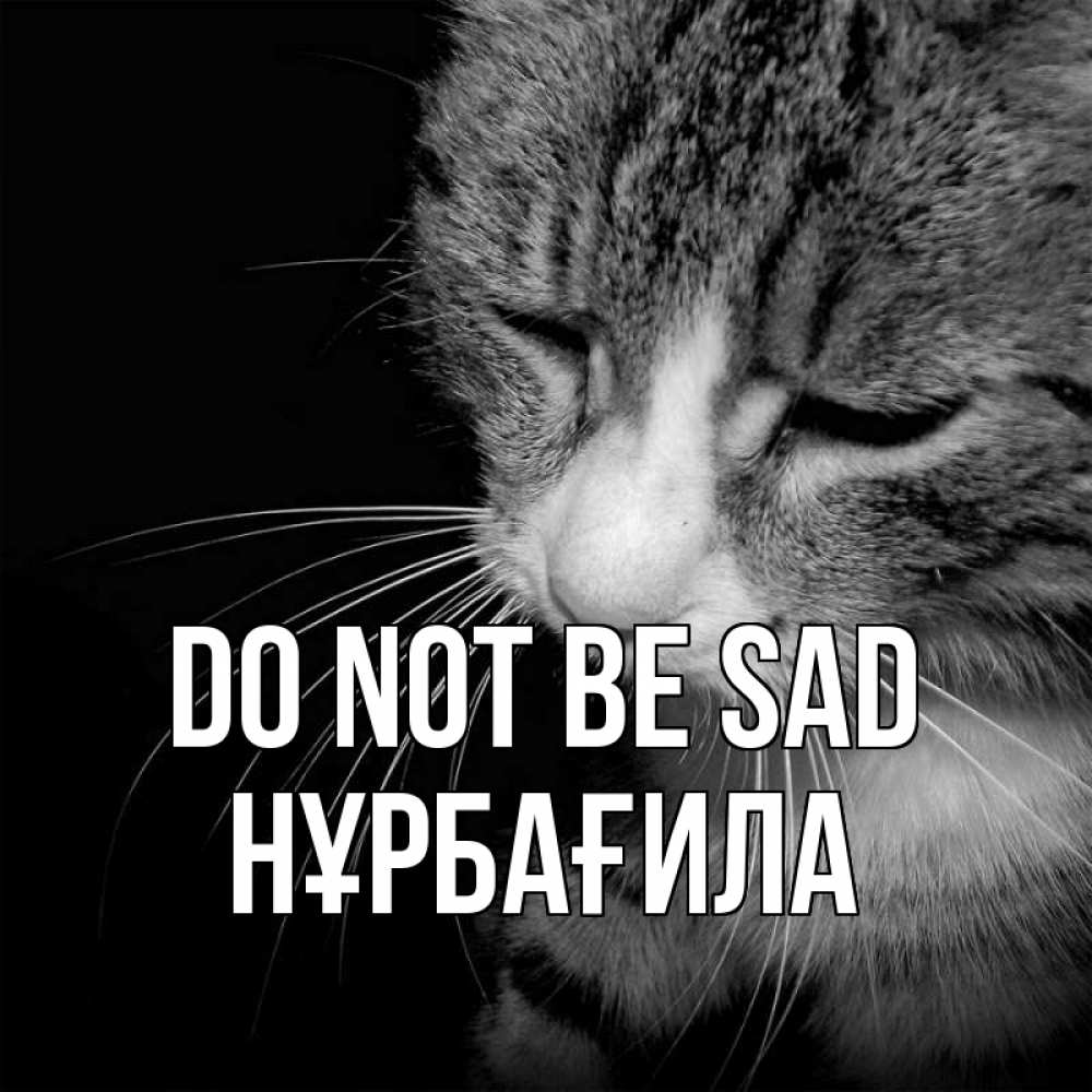 Greetings card с именем, НҰРБАҒИЛА Do not be sad грустный котик Greetings with text for free download 