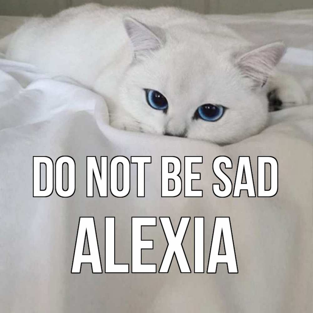Greetings card с именем, Alexia Do not be sad белый кот с голубыми глазами на белоснежной кровати Greetings with text for free download 