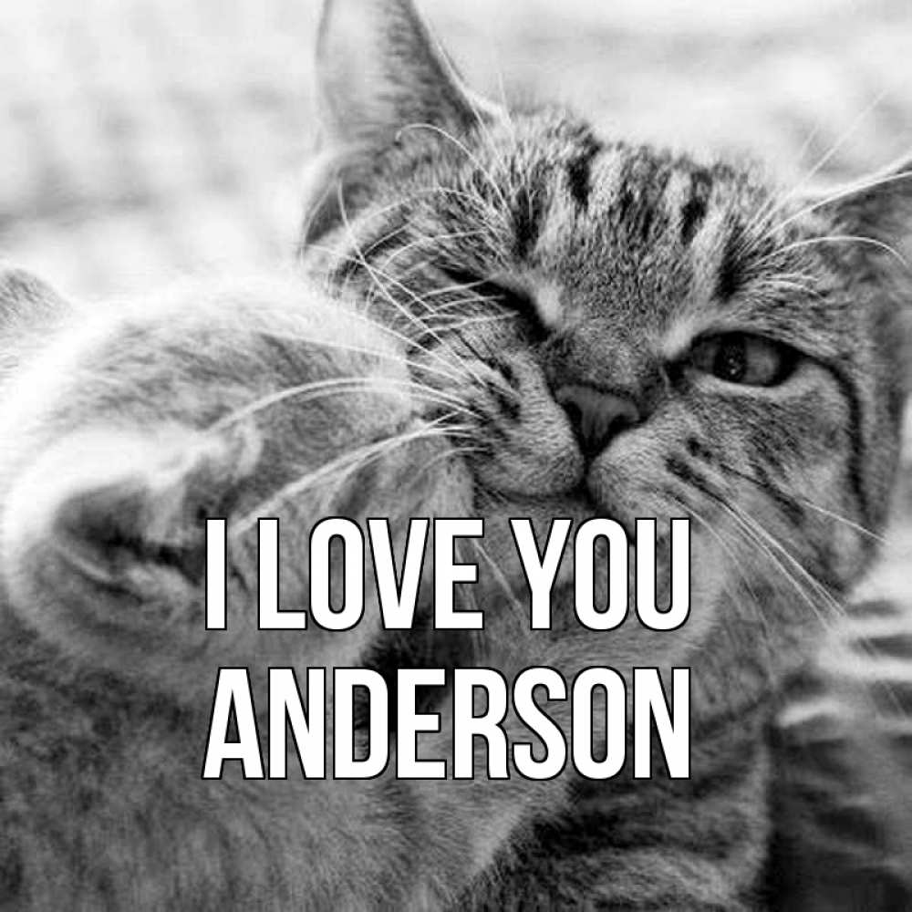 Greetings card с именем, Anderson I love you коты Greetings with text for free download 