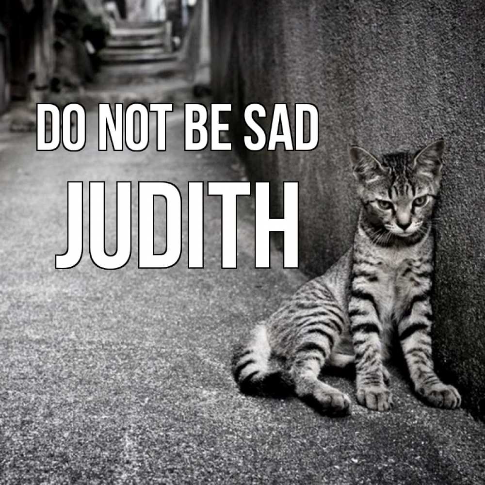 Greetings card с именем, Judith Do not be sad скучающий котик Greetings with text for free download 