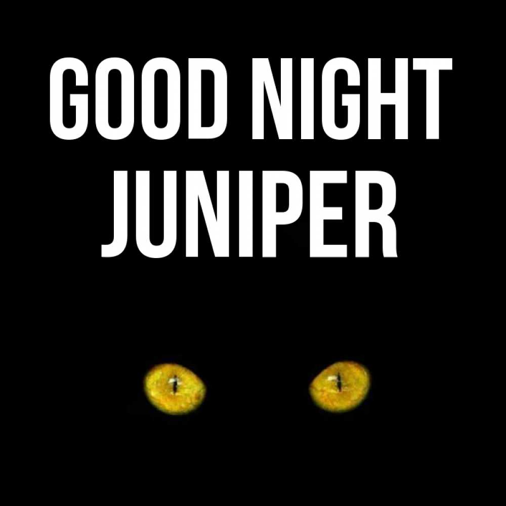 Greetings card с именем, Juniper Good night сладких снов бесстрашный мой дружочек Greetings with text for free download 