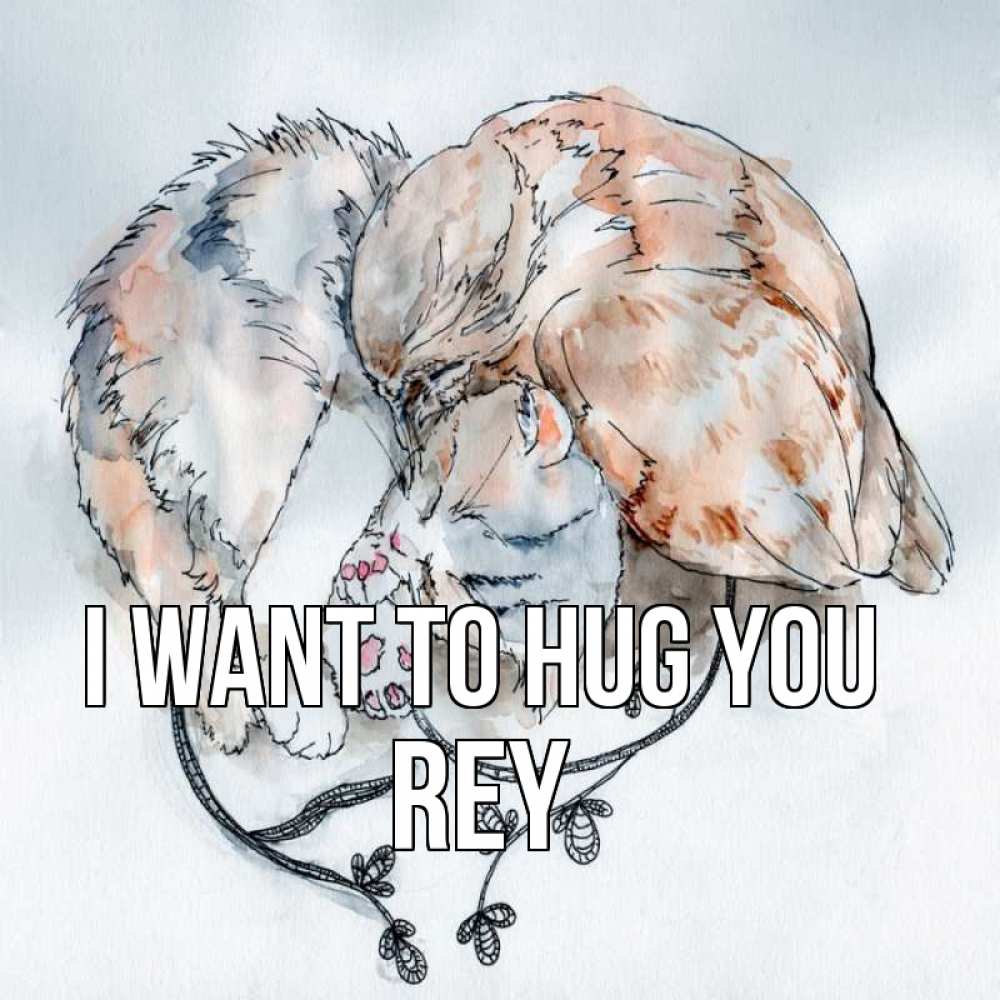 Greetings card с именем, Rey I want to hug you можно быть вместе даже когда очень разные Greetings with text for free download 