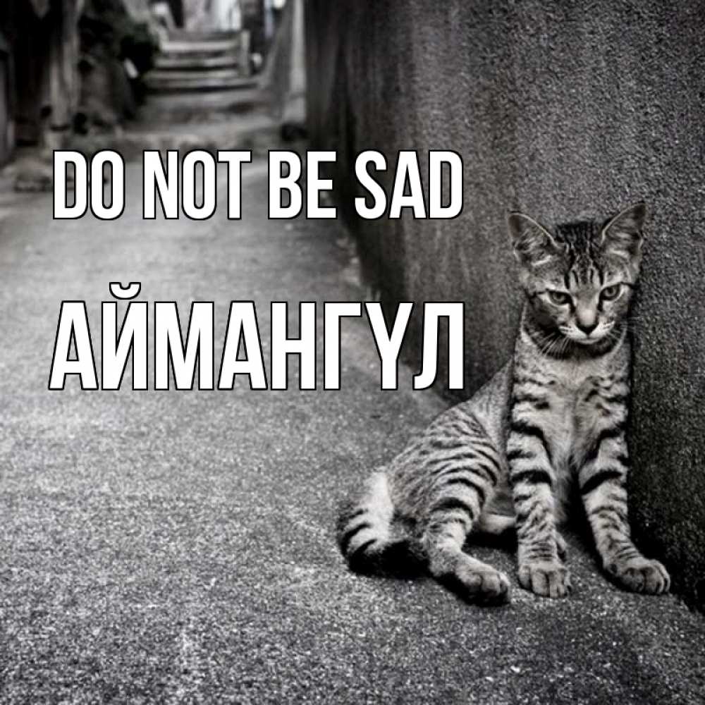 Greetings card с именем, Аймангүл Do not be sad скучающий котик Greetings with text for free download 
