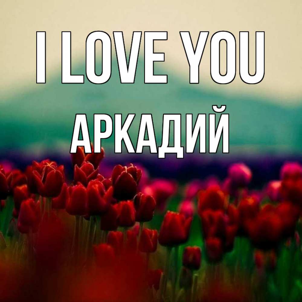 Greetings card с именем, Аркадий I love you тюльпаны 4 Greetings with text for free download 