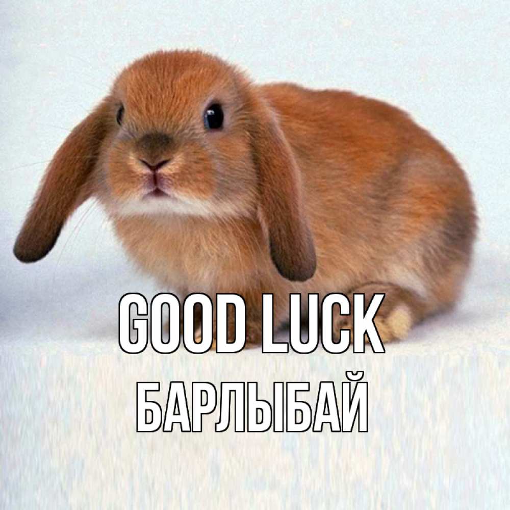 Greetings card с именем, Барлыбай Good luck вставить текст в открытку по выбору Greetings with text for free download 