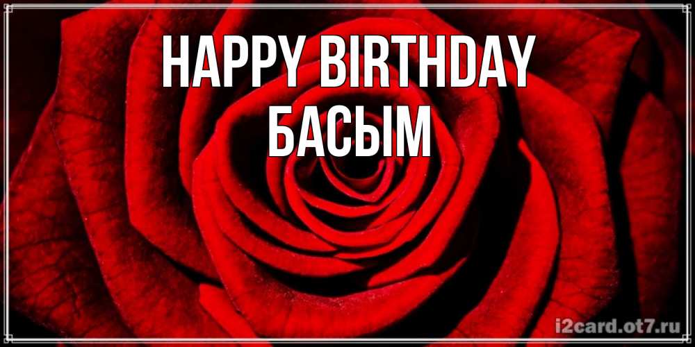 Greetings card с именем, Басым Happy Birthday алая роза Greetings with text for free download 