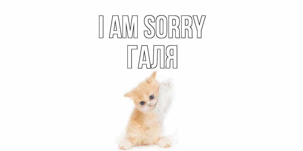 Greetings card с именем, Галя I am sorry кот Greetings with text for free download 