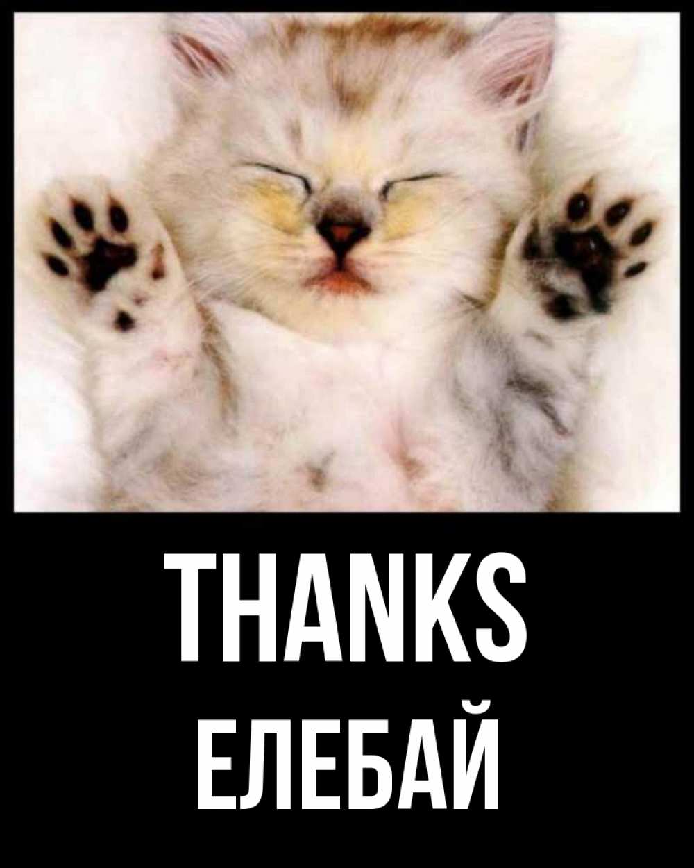 Greetings card с именем, Елебай Thanks маленький котенок Greetings with text for free download 