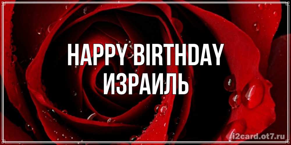 Greetings card с именем, Израиль Happy Birthday крупная бордовая роза Greetings with text for free download 