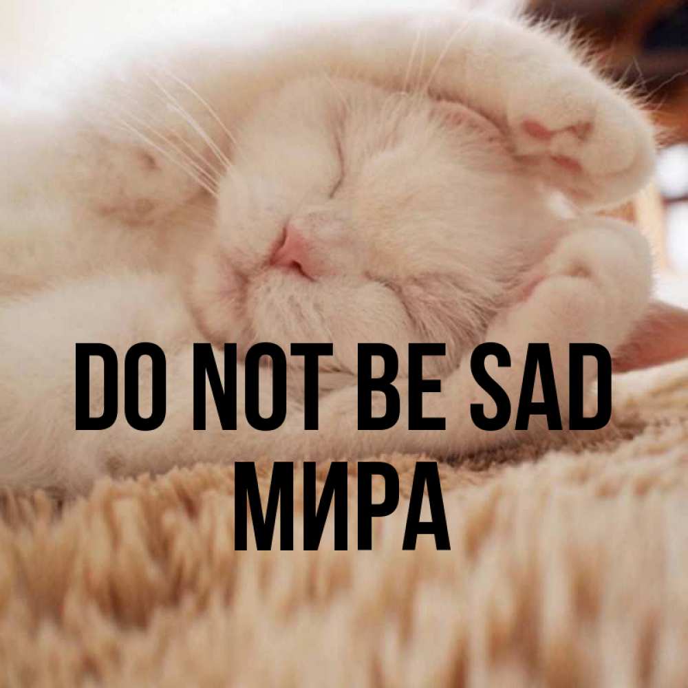 Greetings card с именем, МИРА Do not be sad Котенок спит Greetings with text for free download 