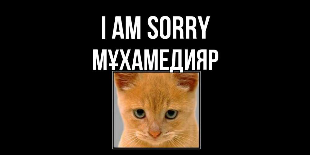 Greetings card с именем, МҰХАМЕДИЯР I am sorry рыжий грустный кот просит прощения Greetings with text for free download 