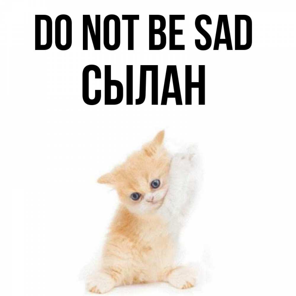 Greetings card с именем, СЫЛАН Do not be sad просящий кот Greetings with text for free download 
