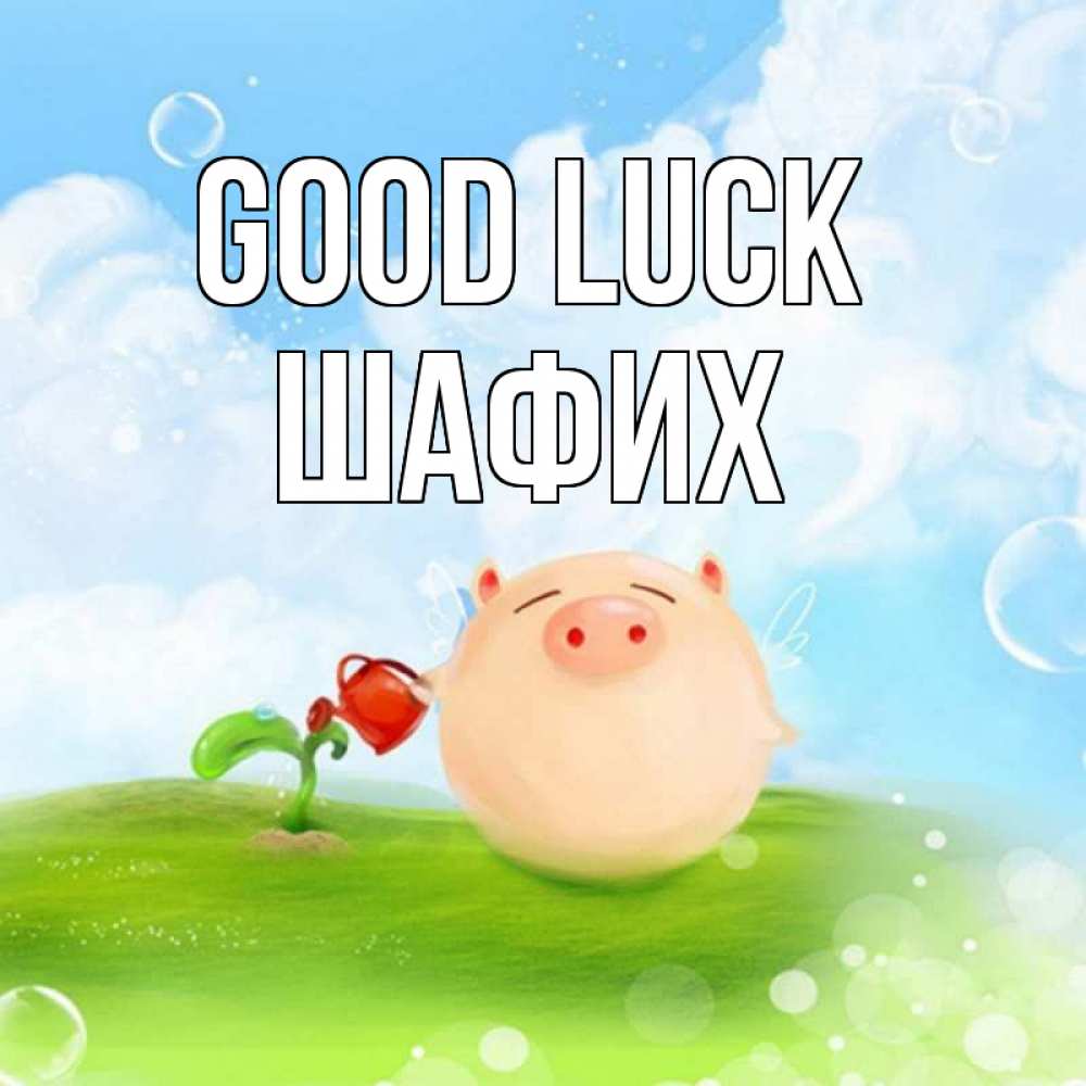 Greetings card с именем, ШАФИХ Good luck поросенок поливает цветок. летнее настроение Greetings with text for free download 
