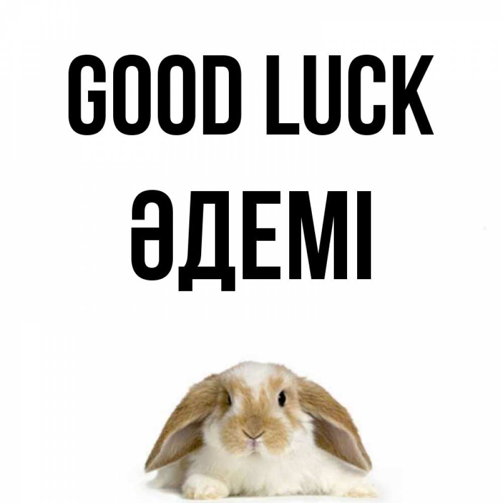 Greetings card с именем, ӘДЕМІ Good luck открытки с произвольным текстом который можно вставить в открытку и создать ее самостоятельно бесплатно онлайн Greetings with text for free download 