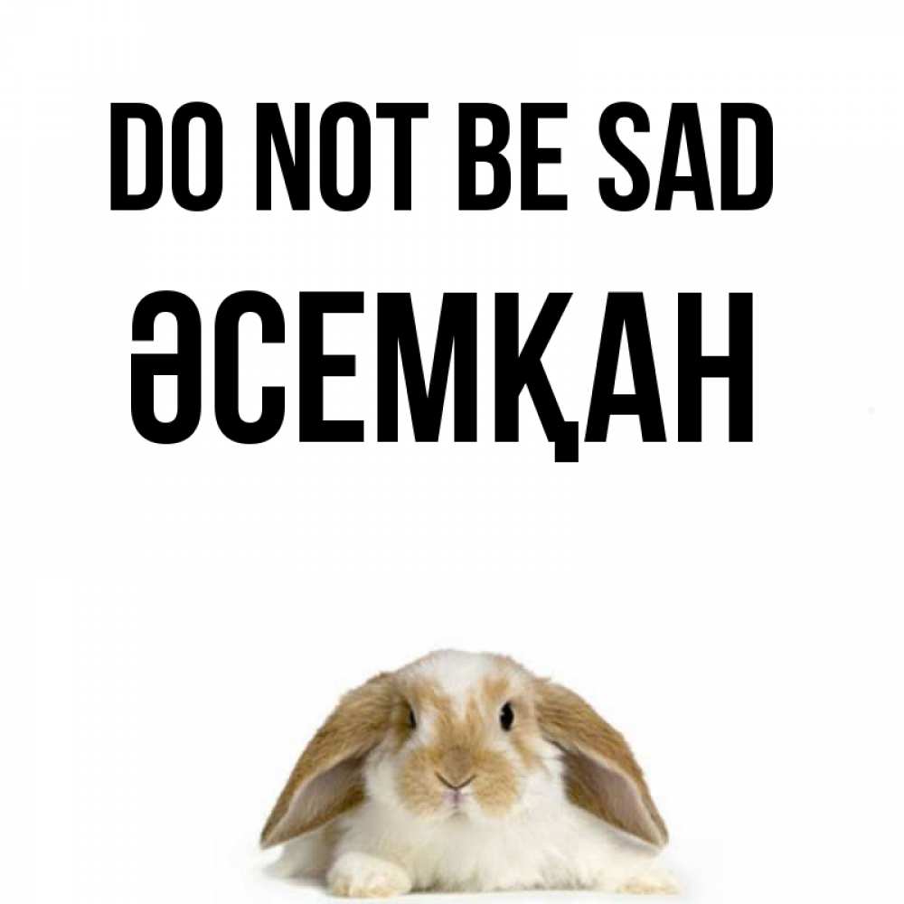 Greetings card с именем, ӘСЕМҚАН Do not be sad коричнево белый заяц с большими ушками Greetings with text for free download 