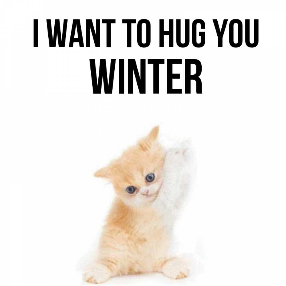 Greetings card с именем, Winter I want to hug you я хочу очень скорее обнимаешек Greetings with text for free download 