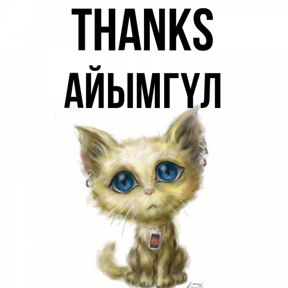 Greetings card с именем, АЙЫМГҮЛ Thanks рисованный кот благодарит вас Greetings with text for free download 