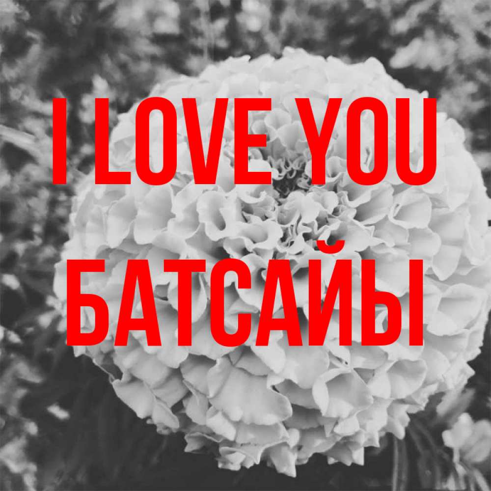 Greetings card с именем, Батсайы I love you подпись Greetings with text for free download 