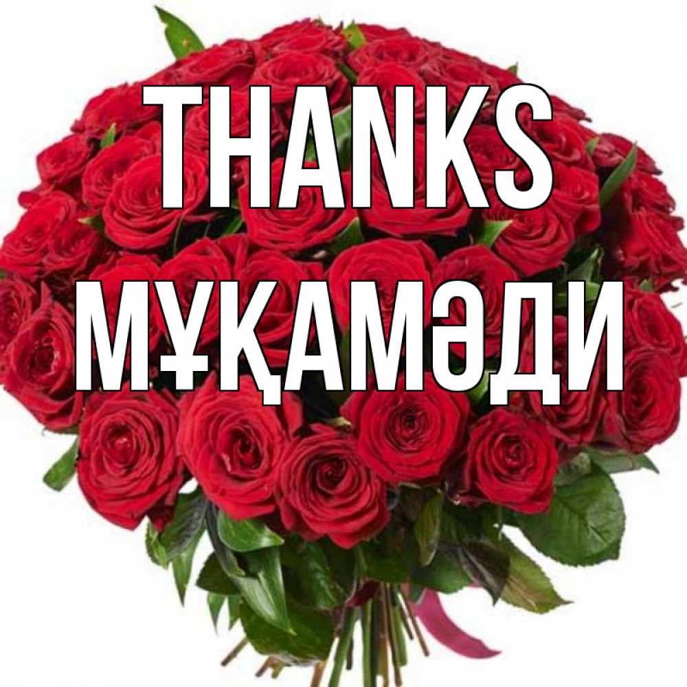Greetings card с именем, МҰҚАМӘДИ Thanks букет красных роз Greetings with text for free download 