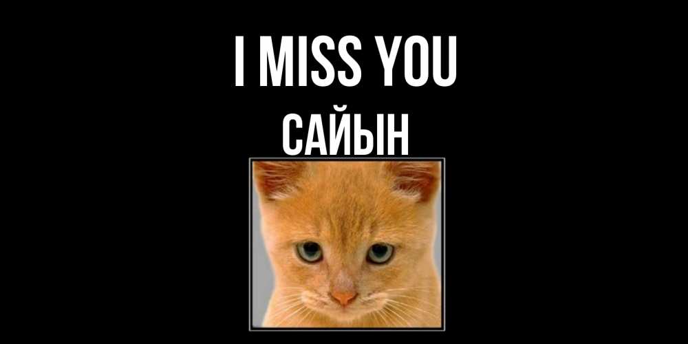 Greetings card с именем, САЙЫН I miss you открытки рыжий котенок скучает по тебе Greetings with text for free download 