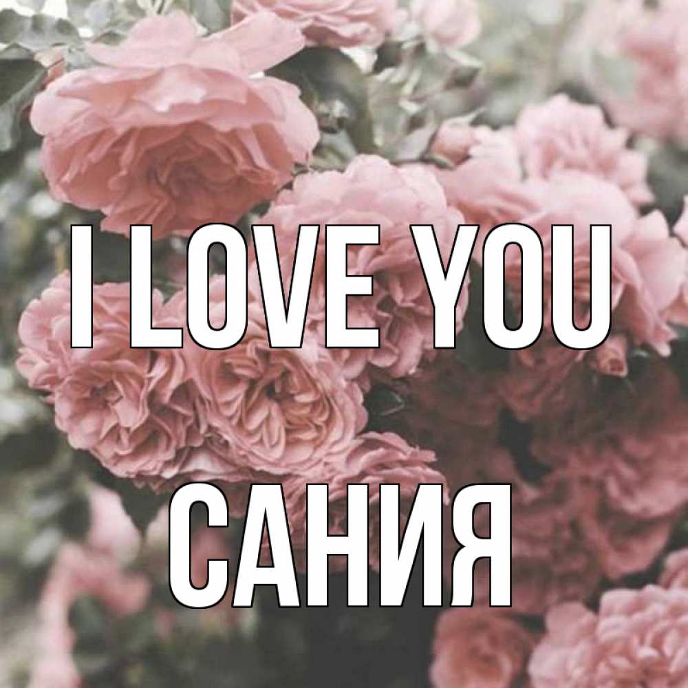 Greetings card с именем, Сания I love you розы 3 Greetings with text for free download 
