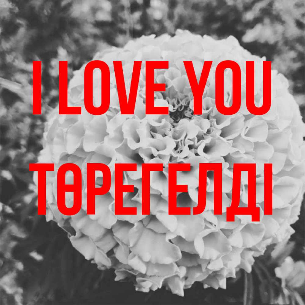Greetings card с именем, Төрегелді I love you подпись Greetings with text for free download 