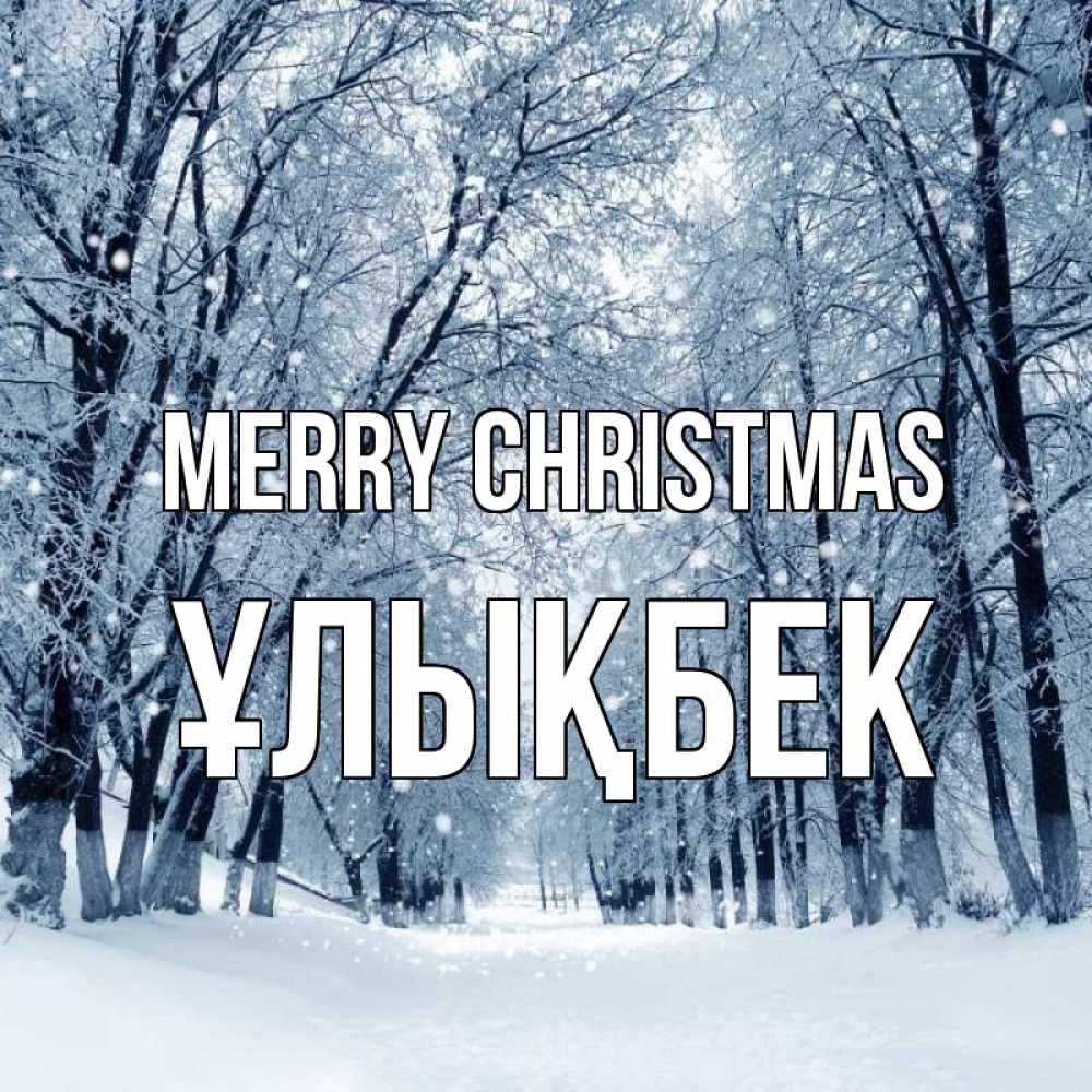 Greetings card с именем, ҰЛЫҚБЕК Merry Christmas снег, лес, парк Greetings with text for free download 