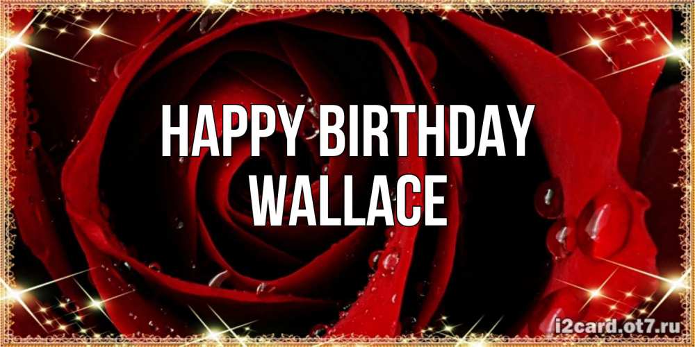 Greetings card с именем, Wallace Happy Birthday цветок в росе на день рождения Greetings with text for free download 
