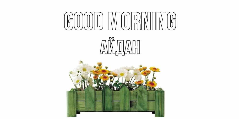 Greetings card с именем, Айдан Good morning цветы Greetings with text for free download 