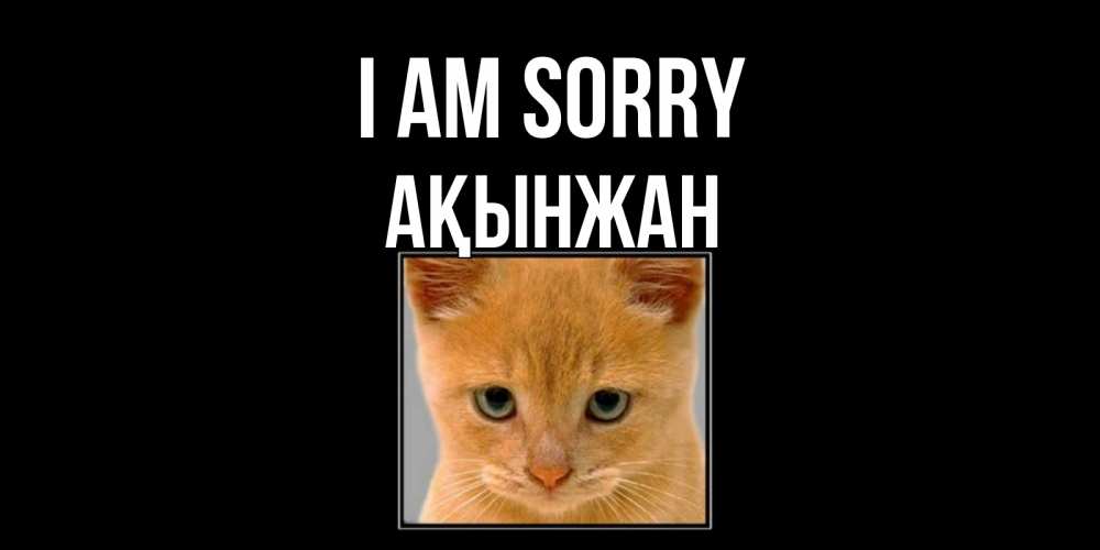Greetings card с именем, Ақынжан I am sorry рыжий грустный кот просит прощения Greetings with text for free download 