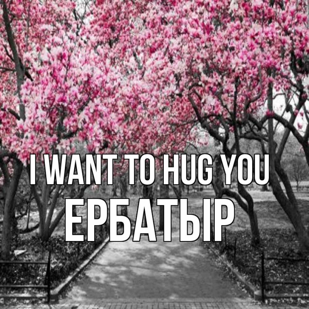 Greetings card с именем, Ербатыр I want to hug you обработанное фото Greetings with text for free download 