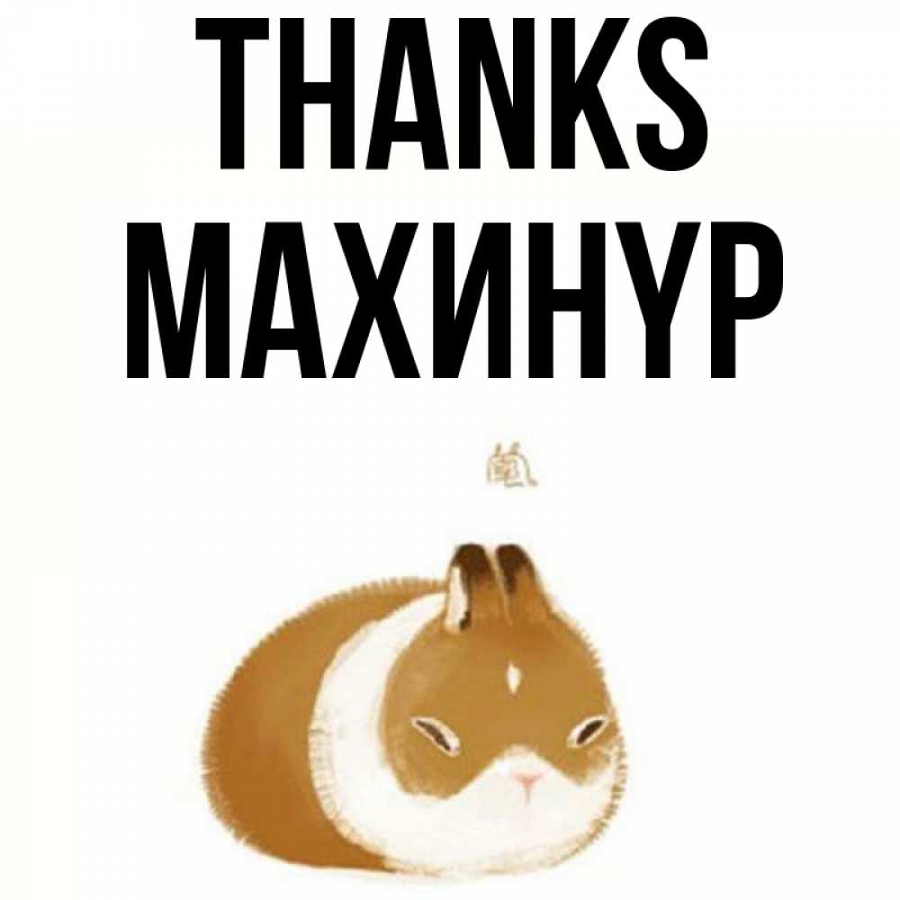 Greetings card с именем, МАХИНҮР Thanks коричнево белый домашний питомец Greetings with text for free download 