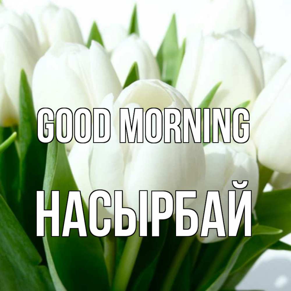 Greetings card с именем, Насырбай Good morning открытки на каждый день по именам Greetings with text for free download 